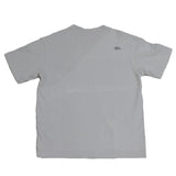 STAPLE PIGEON TEE GRAY